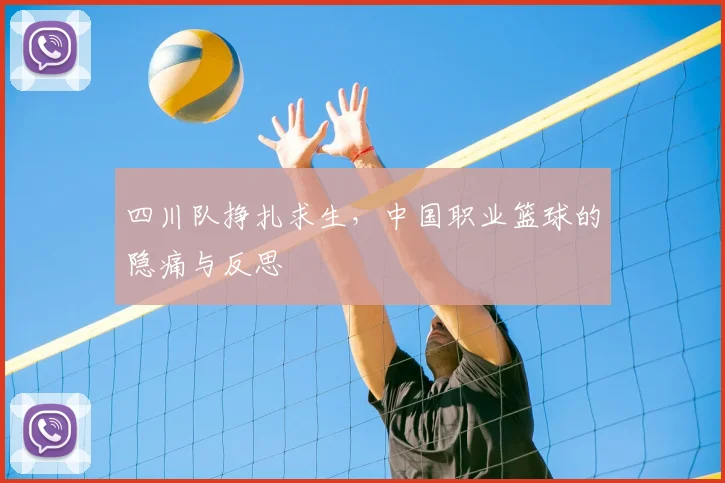 四川队挣扎求生,中国职业篮球的隐痛与反思