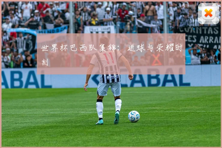 世界杯巴西队集锦：进球与荣耀时刻